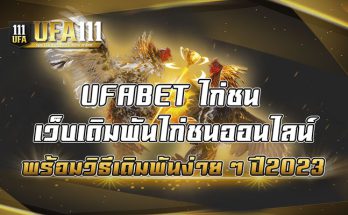 UFABET-ไก่ชน-เว็บเดิมพันไก่ชนออนไลน์-พร้อมวิธีเดิมพันง่าย-ๆ-ปี2023