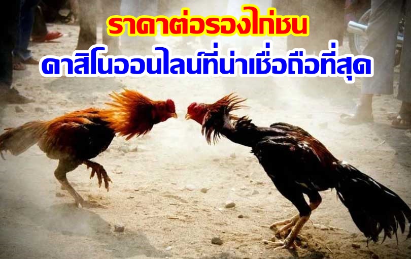 ราคาต่อรองไก่ชน คาสิโนออนไลน์ที่น่าเชื่อถือที่สุด